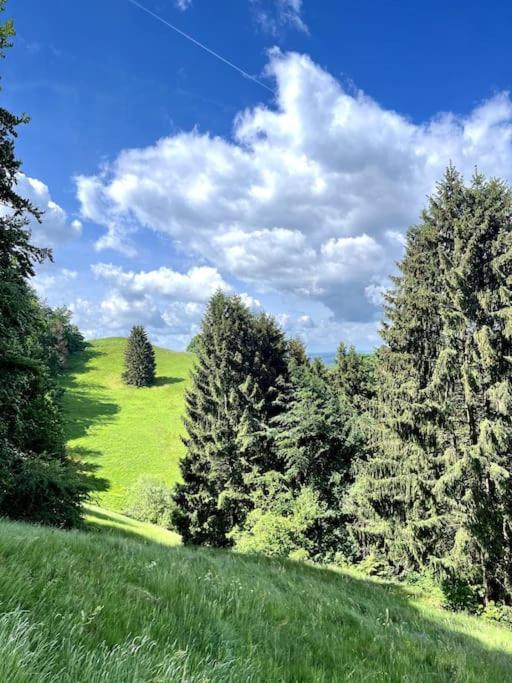Ferienwohnung Am Hang Mit Malerischer Aussicht Osterode am Harz Exterior foto